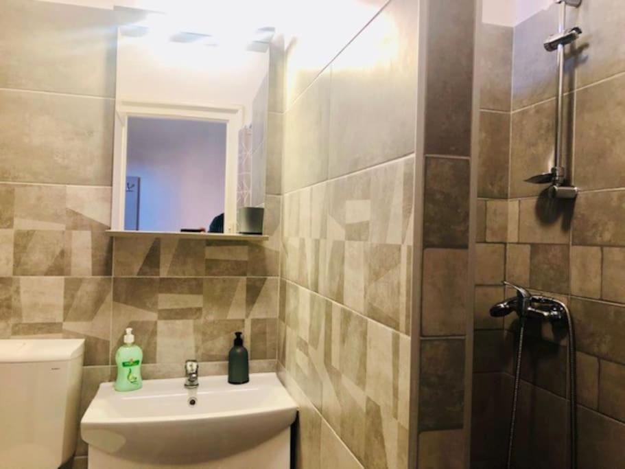 Joy City Stay Colonel Enescu 3 Тимишоара Екстериор снимка