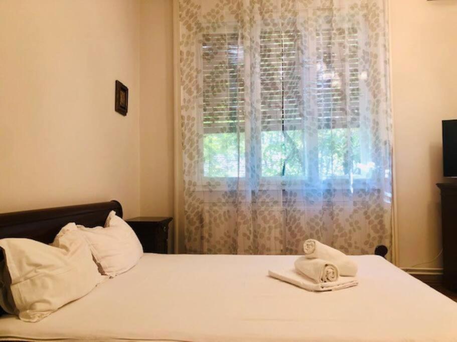 Joy City Stay Colonel Enescu 3 Тимишоара Екстериор снимка