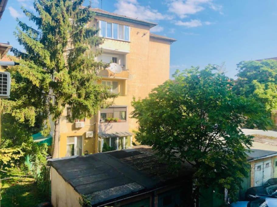 Joy City Stay Colonel Enescu 3 Тимишоара Екстериор снимка