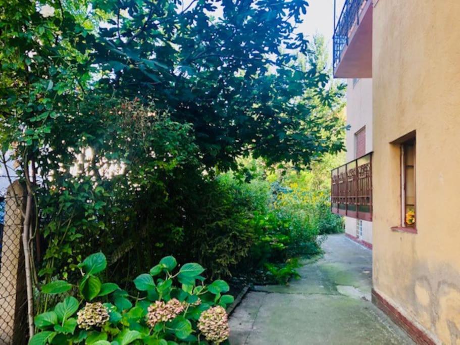 Joy City Stay Colonel Enescu 3 Тимишоара Екстериор снимка