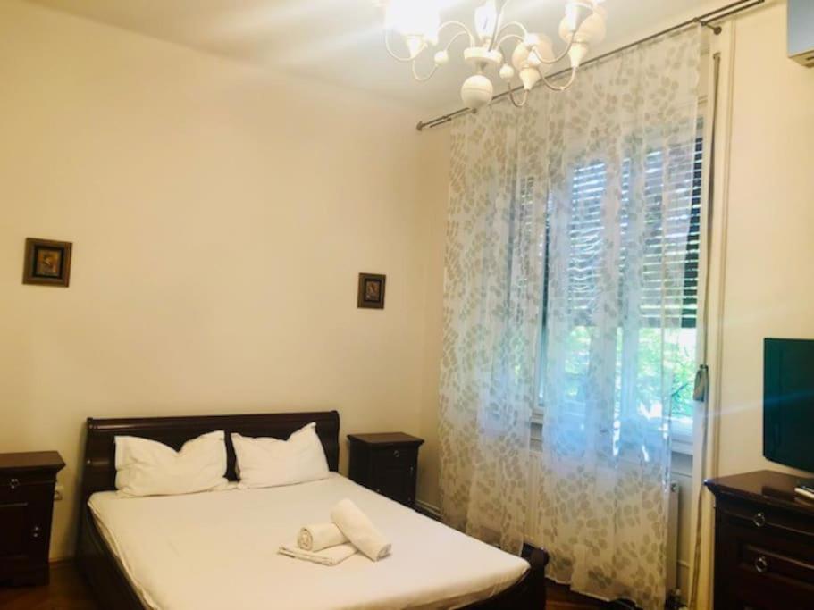 Joy City Stay Colonel Enescu 3 Тимишоара Екстериор снимка