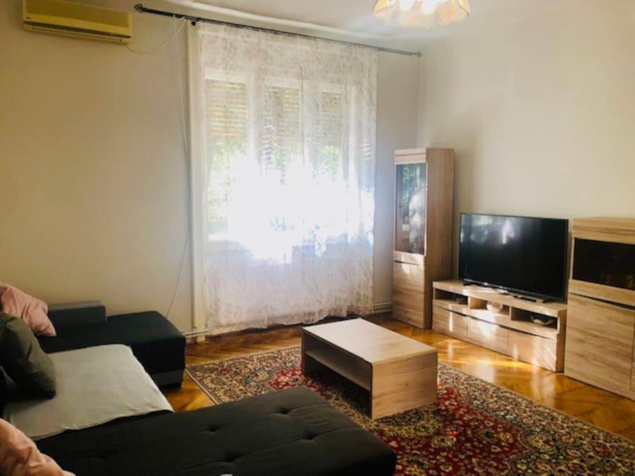 Joy City Stay Colonel Enescu 3 Тимишоара Екстериор снимка